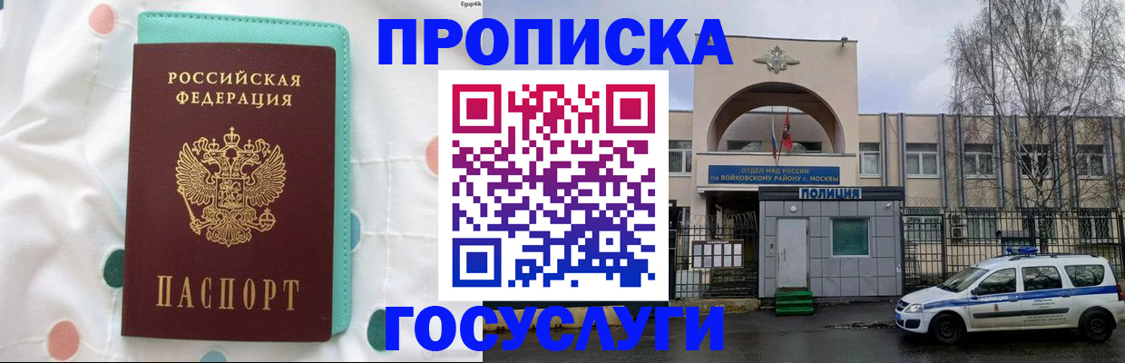 найти адрес прописки в Елизово